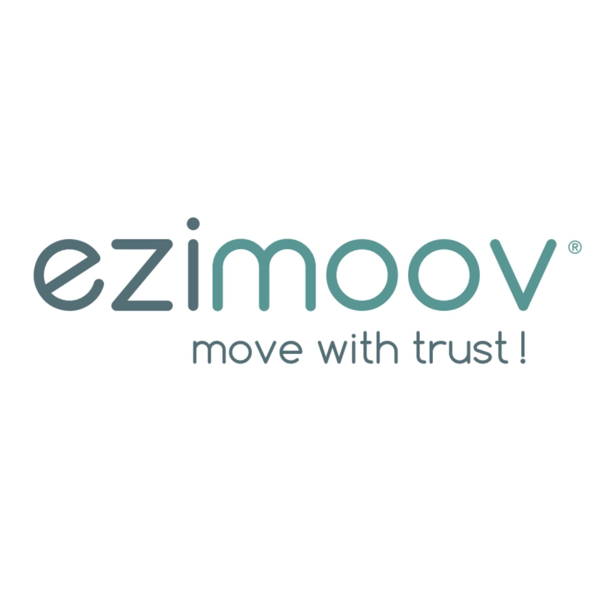 Organiser de voiture Storage éco-conçu, Housse de protection de Ezimoov